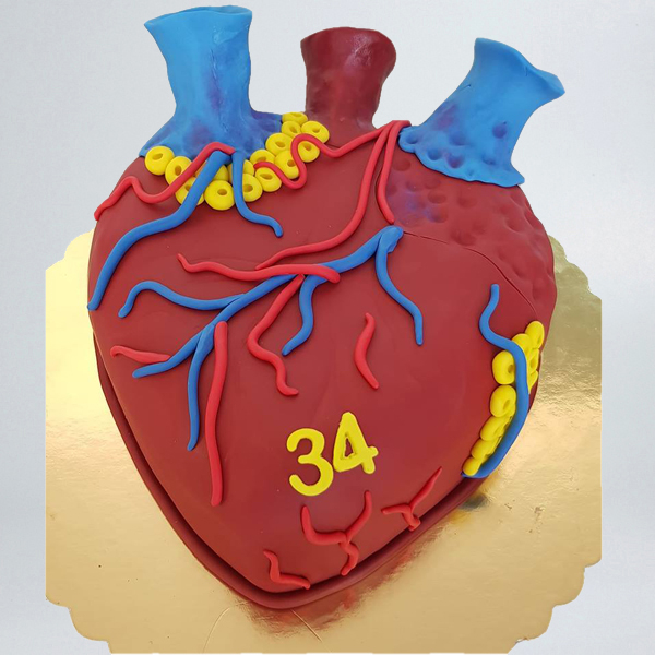 Tort inima anatomica [1]