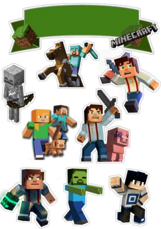 Poze comestibile - Poza Minecraft 2