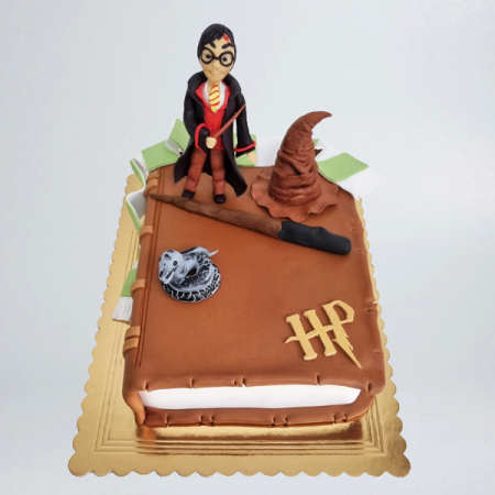 Torturi in pasta de zahar pentru fetite - Tort Harry potter pe carte