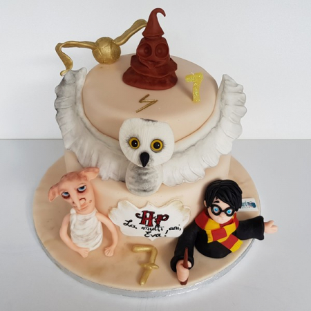 Torturi in pasta de zahar pentru baietei - Tort Harry Potter, bufnita si instrumente
