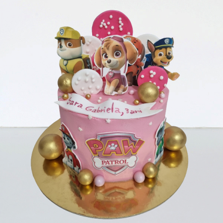 Torturi copii - Tort in frosting Paw patrol in roz