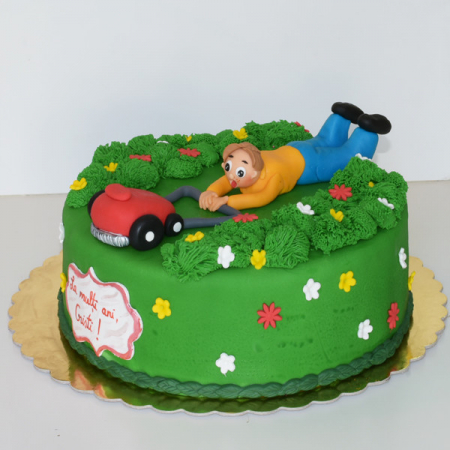 Torturi in pasta de zahar pentru baietei - Tort "In gradina"