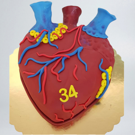 Torturi pentru pasiuni - Tort inima anatomica
