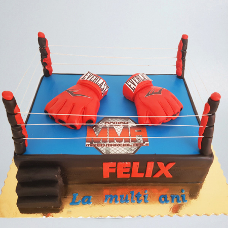 Torturi - Tort lupte MMA