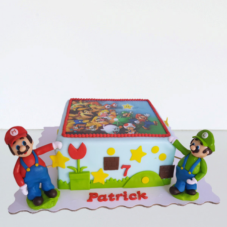 Torturi copii - Tort Mario si Luigi cu poza