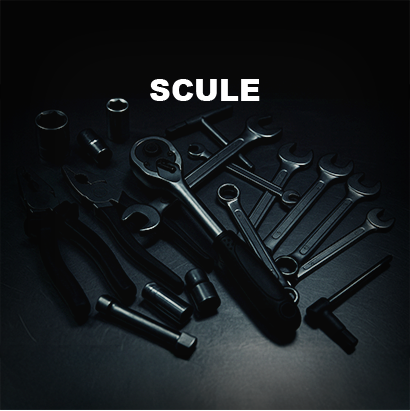 Banner Principal Scule