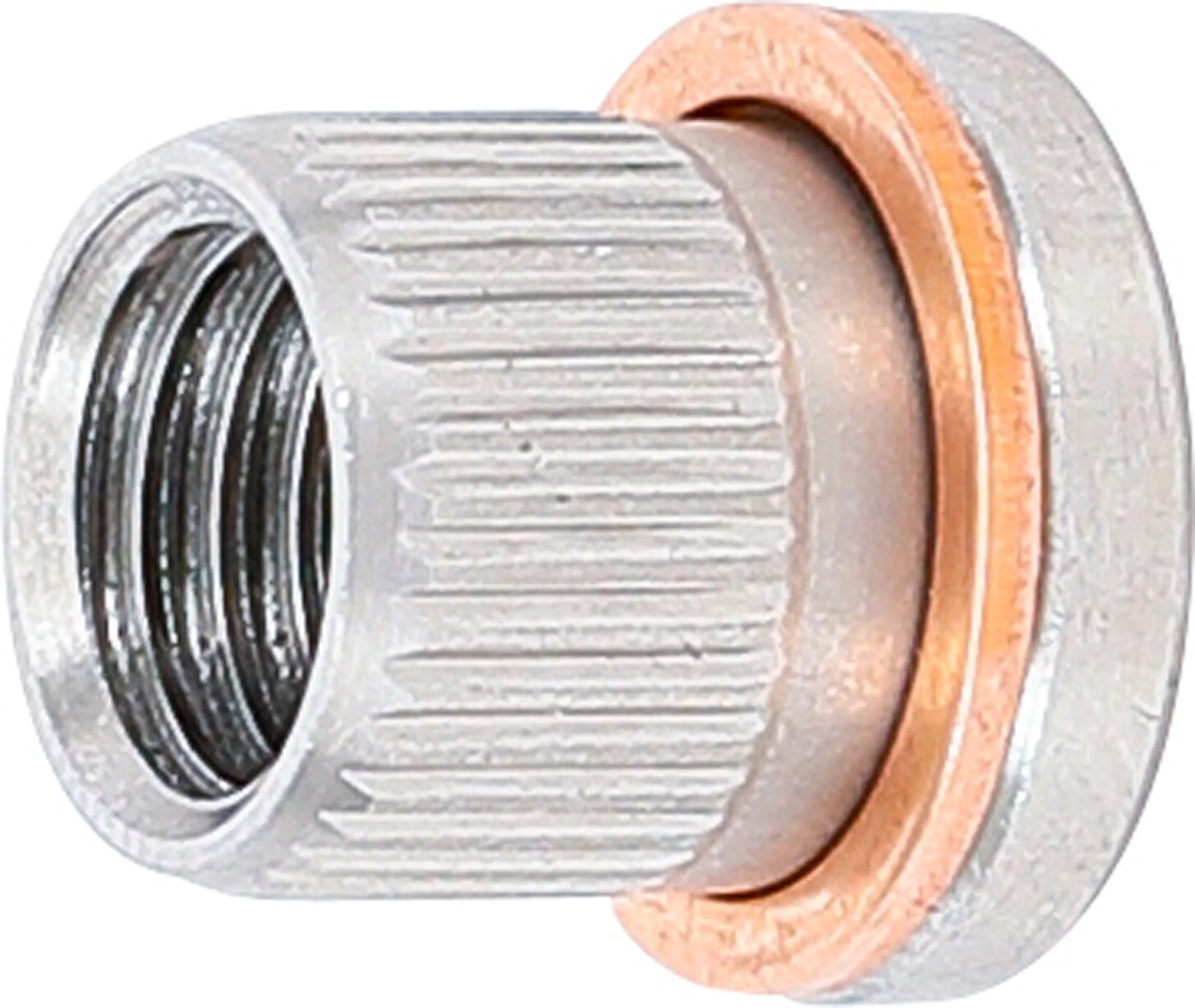 Filet de schimb | pentru BGS 148 | M9 x 1,25 [1]