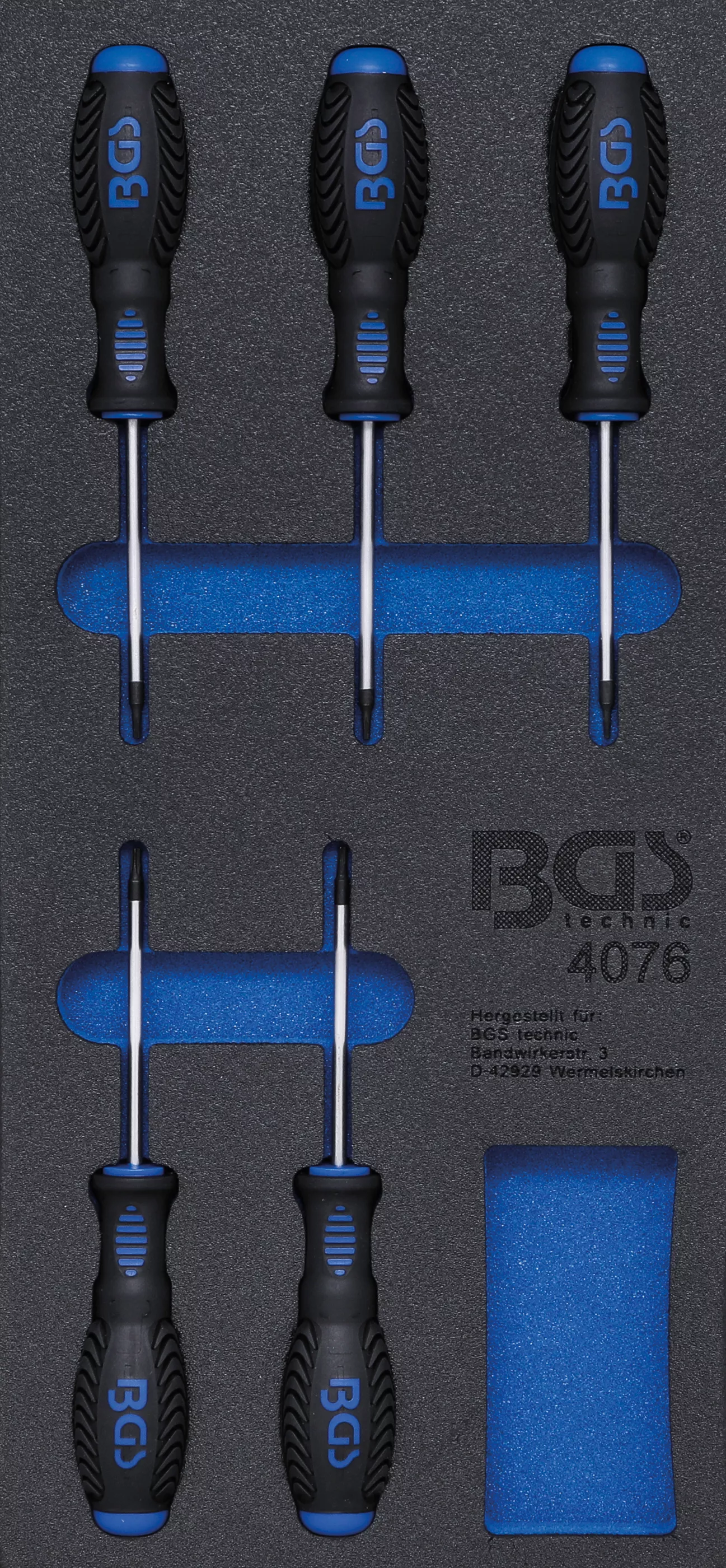 Cărucior atelier şi accesorii - Suport organizator pentru carucior 1/3: surubelnite Profil T (pentru Torx) | 5 piese