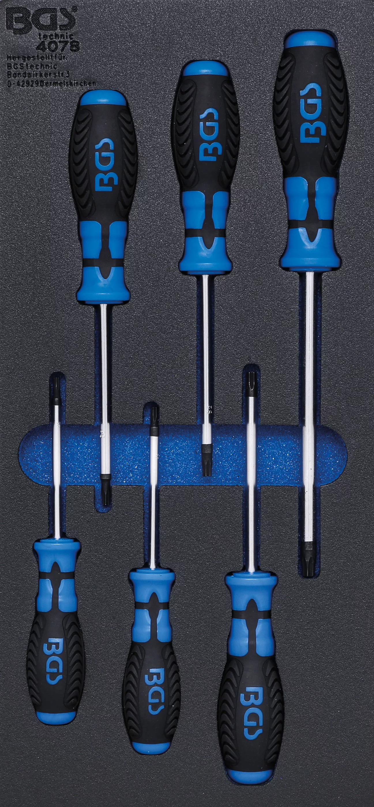 Cărucior atelier şi accesorii - Suport organizator pentru carucior 1/3: surubelnite Profil T (pentru Torx) | 6 piese