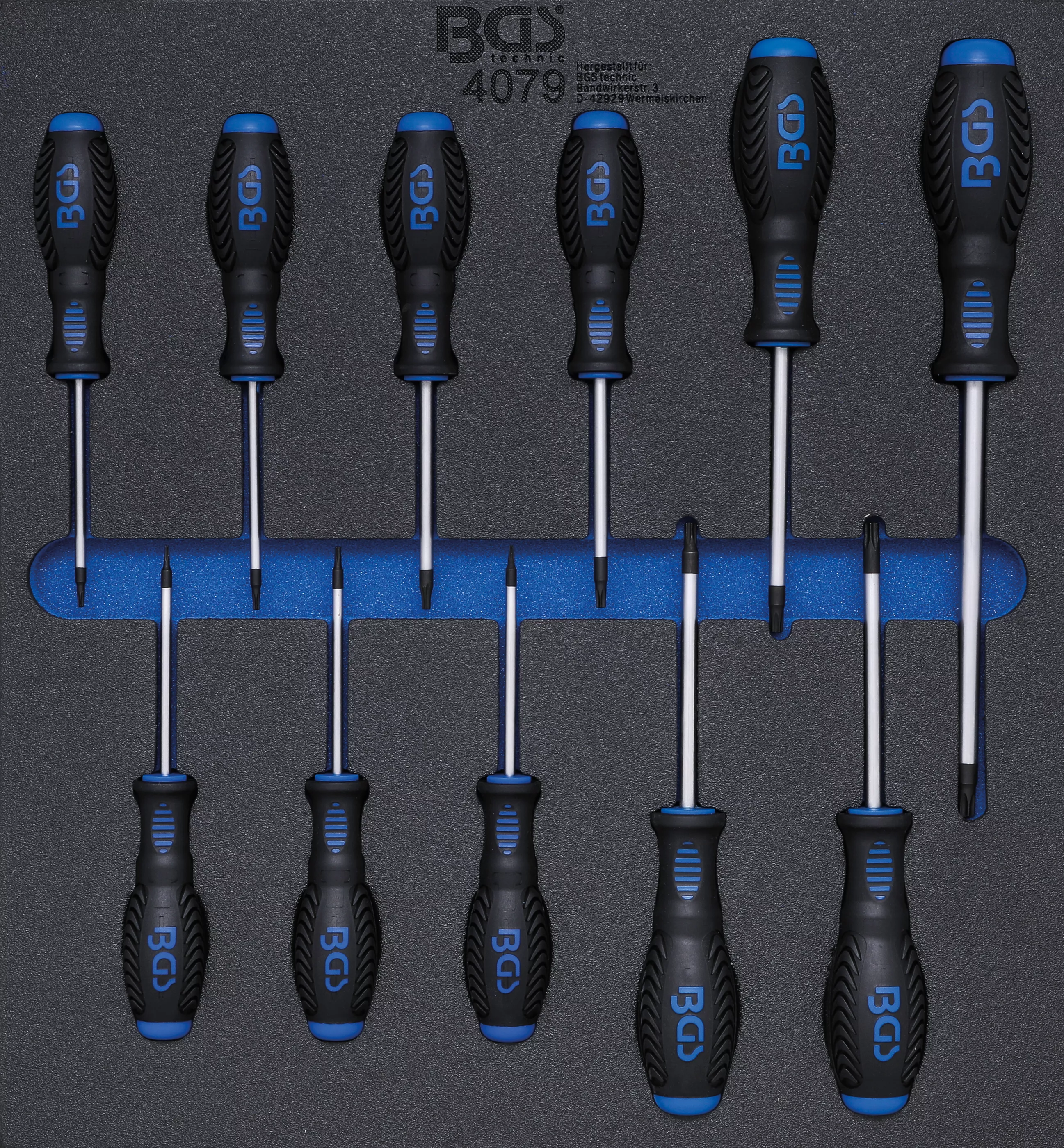 Cărucior atelier şi accesorii - Suport organizator pentru carucior 2/3: surubelnite Profil T (pentru Torx) | T6 - T40 | 11 piese