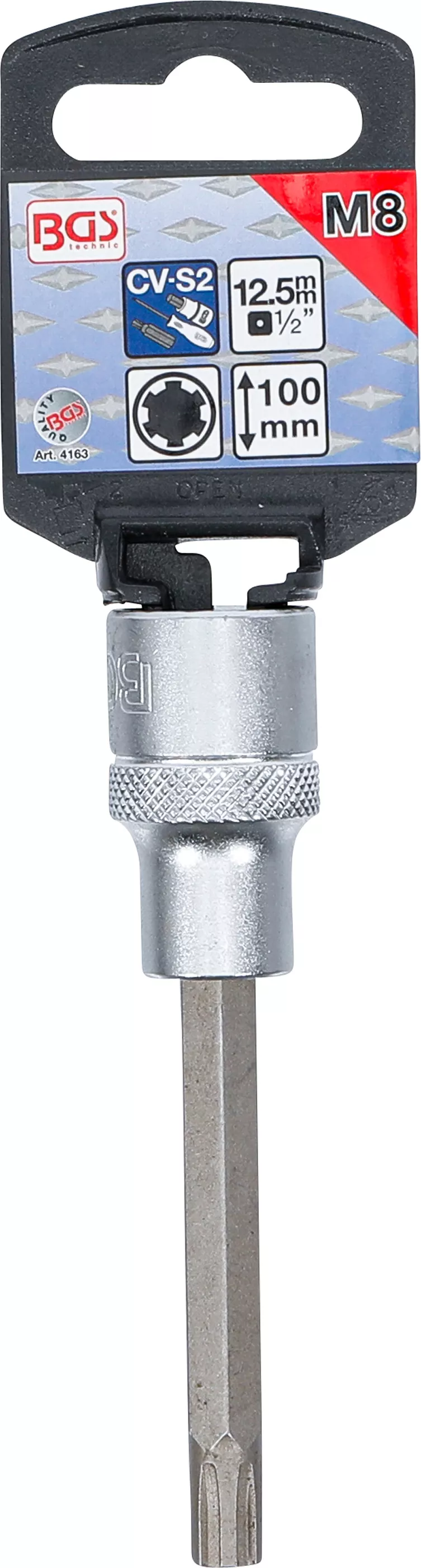 Bit | Lungime 100 mm | 12,5 mm (1/2") | Profil pana (pentru RIBE) M8 [2]