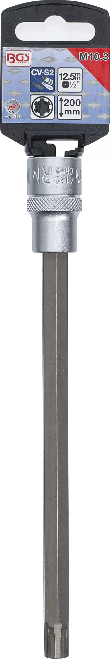 Bit | Lungime 200 mm | 12,5 mm (1/2") | Profil pana (pentru RIBE) M10,3 [2]