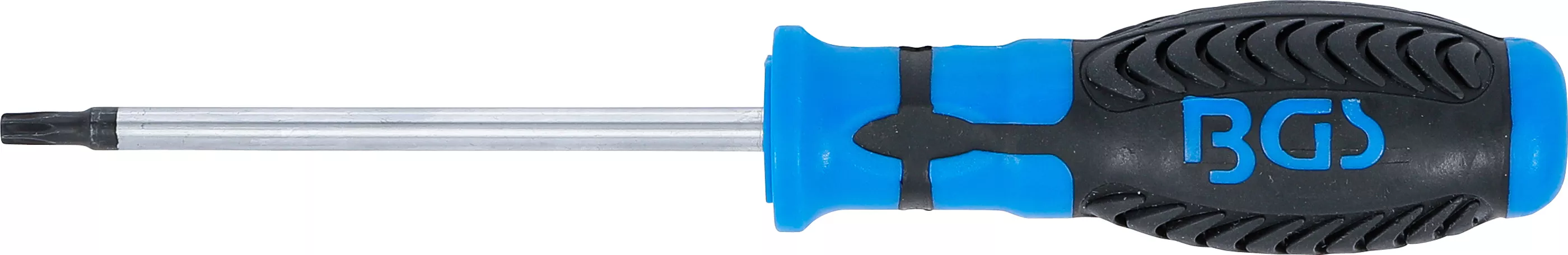 surubelnita | Profil T (pentru Torx) T25 | Lungime lama 100 mm [2]
