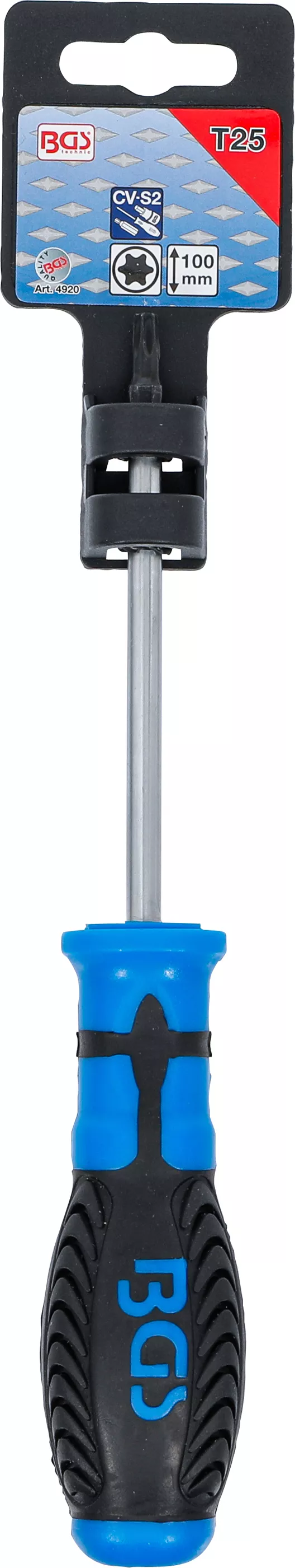 surubelnita | Profil T (pentru Torx) T25 | Lungime lama 100 mm [4]