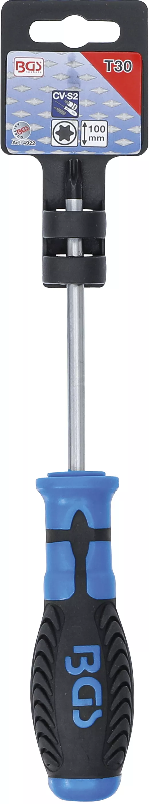 surubelnita | Profil T (pentru Torx) T30 | Lungime lama 100 mm [3]