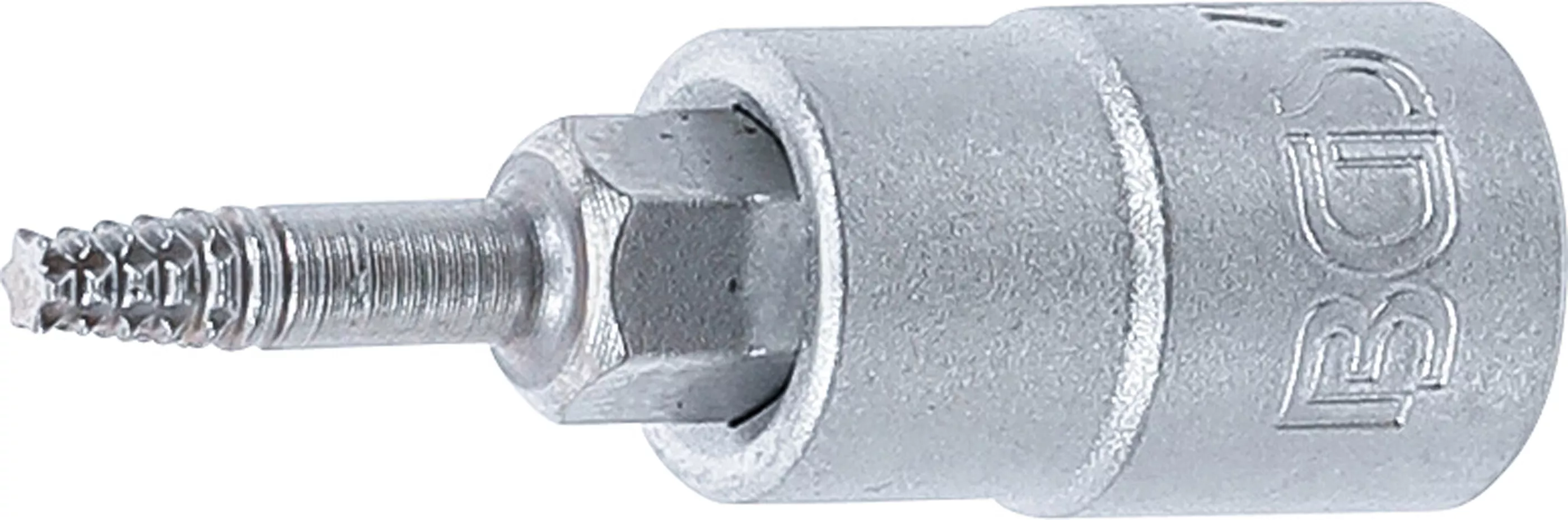 Bit detasabil extractoare suruburi | actionare patrat interior 6,3 mm (1/4") | pentru profil T defect (pentru Torx) T10 [1]