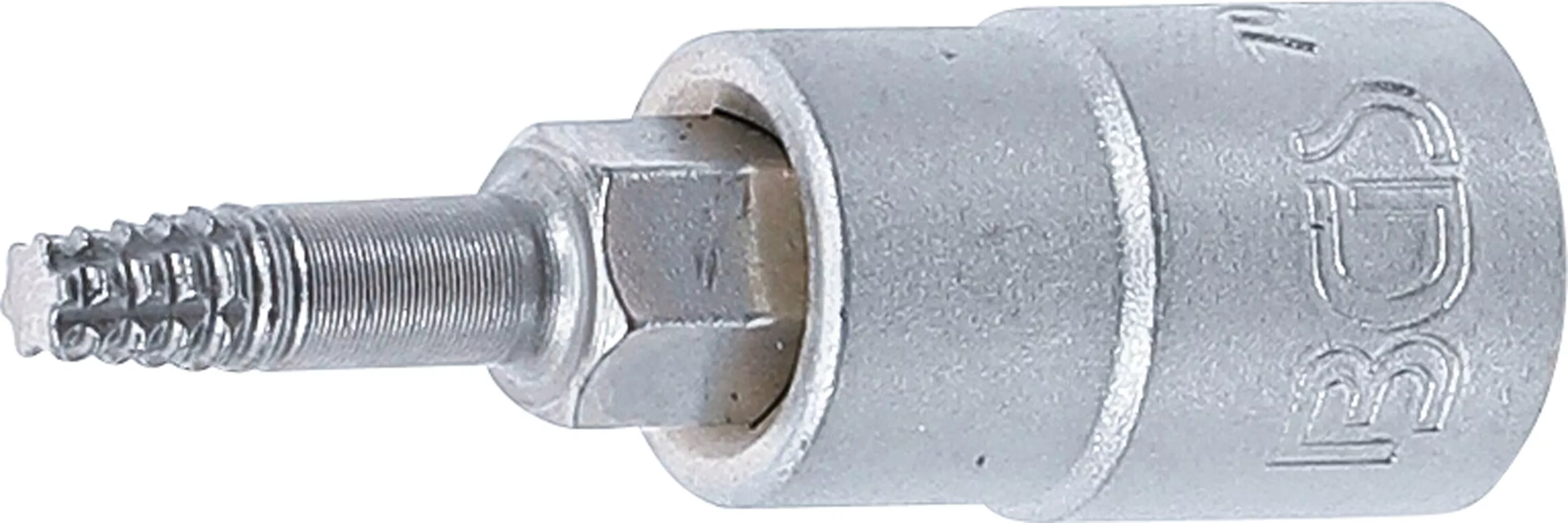 Bit detasabil extractoare suruburi | actionare patrat interior 6,3 mm (1/4") | pentru profil T defect (pentru Torx) T15 [1]