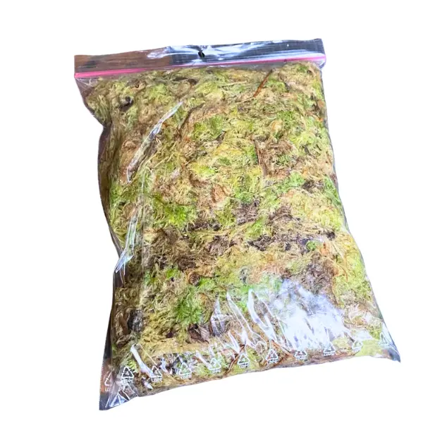 Sphagnum Moss [2]