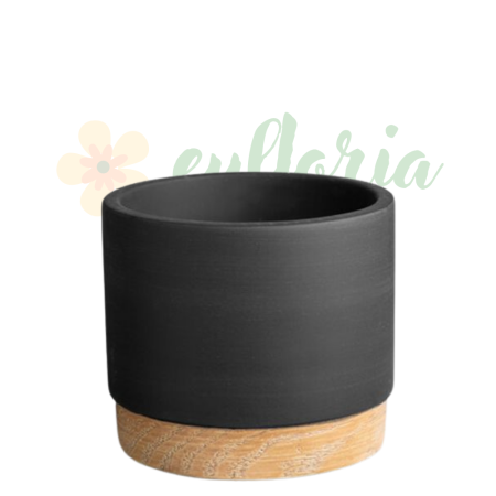 Ghivece - Ghiveci ceramic decorativ Antracit Woodbase D10cm
