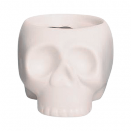 Ghivece - Ghiveci ceramic decorativ 'Skull' alb D6