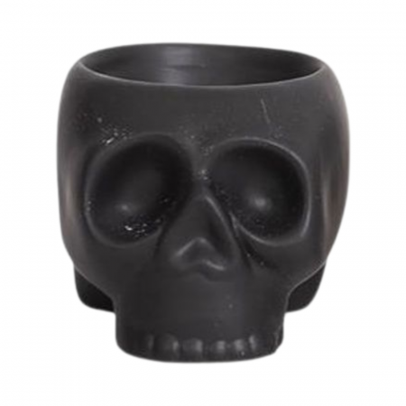 Accesorii - Ghiveci ceramic decorativ 'Skull' negru inchis D6