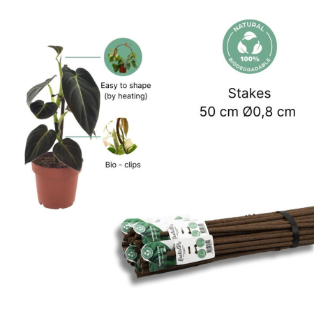 Alte accesorii - Kratiste - suport pentru plante agățătoare 50cm 0.8cm