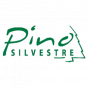 Pino Silvestre