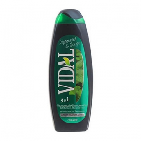 Vidal Doccia 3-in-1 Ginkgo Biloba e Menta 250ml