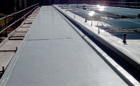 Enkopur - membrana lichida [1]