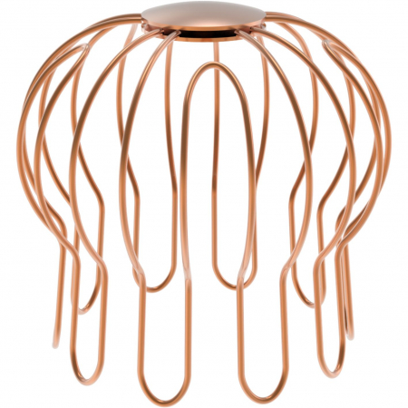 Accesorii burlane - Parafrunzar burlan D100mm CUPRU
