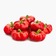 Fara Categorie - GOGOSARI CAL.I