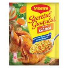 CONDIMENTE - MAGGI SECRETUL GUSTULUI GAINA 75G (20)