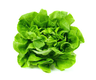 FRUCTE SI LEGUME - SALATA VERDE BUC (ITALIA)