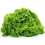 Euro Discount - SALATA VERDE KG (ROMANIA)