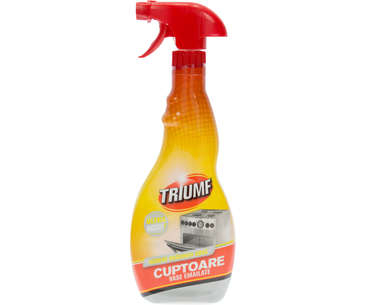 SPRAY - TRIUMF CUPTOARE SI VASE PISTOL 500ML