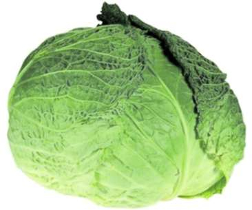 Euro Discount - VARZA VERDE CAL.I