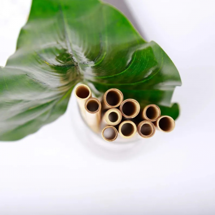 Set paie ecologice reutilizabile din bambus si perii de curatare, pai reutilizabil din bambus [4]