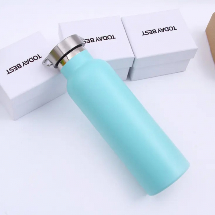 Termos din inox, 750 ml, diferite culori [2]