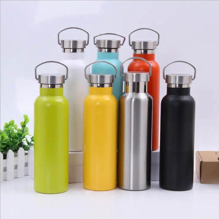 Termos din inox, 750 ml, diferite culori [4]