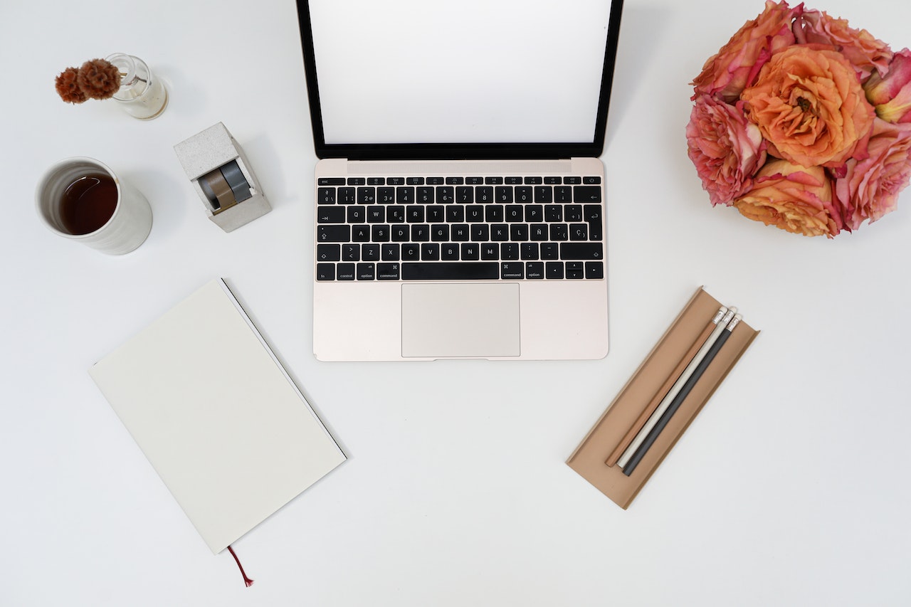 Plante uscate pentru bunăstarea și productivitatea biroului