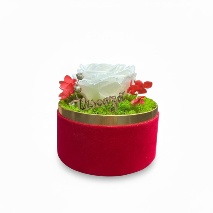 Aranjament cu trandafir criogenat , in cutie catifea cu capac detasabil [4]