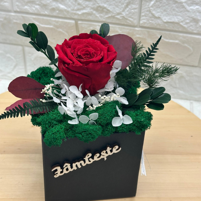 Aranjament cu trandafir criogenat si licheni naturali stabilizati in cutie eleganta – cadou premium personalizat cu flori de lunga durata [5]