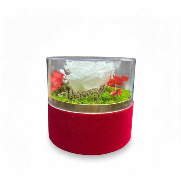 Aranjament cu trandafir criogenat , in cutie catifea cu capac detasabil [3]