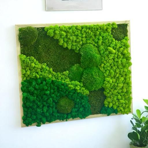 Tablou cu muschi bombati, muschi plati si licheni stabilizati 64x53 cm [3]
