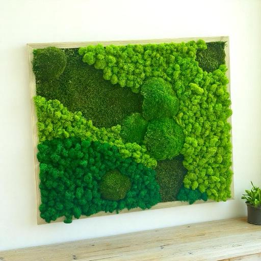 Tablou cu muschi bombati, muschi plati si licheni stabilizati 64x53 cm [4]