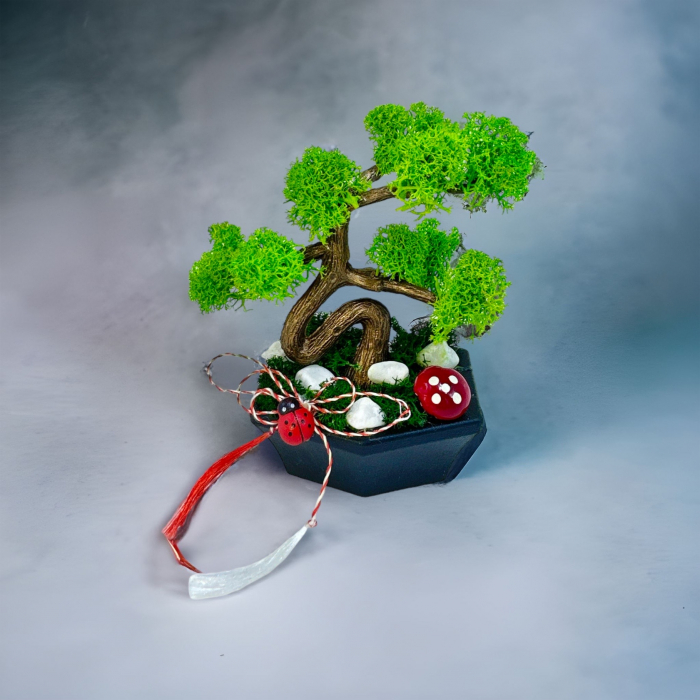 Mini Bonsai cu licheni (Verde) [2]