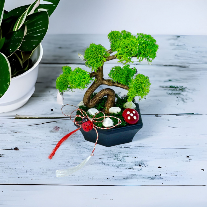 Mini Bonsai cu licheni (Verde) [3]