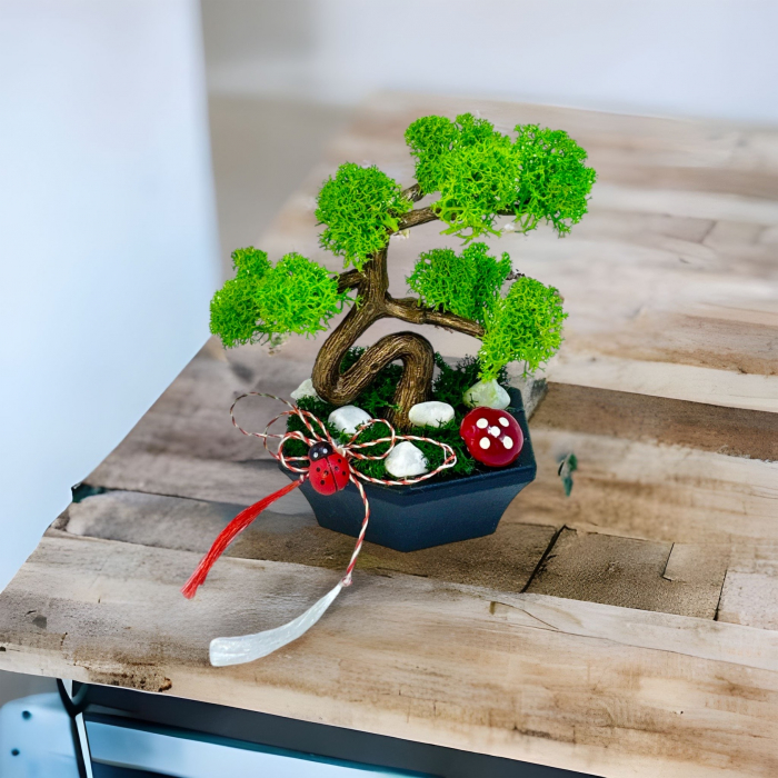 Mini Bonsai cu licheni (Verde) [5]