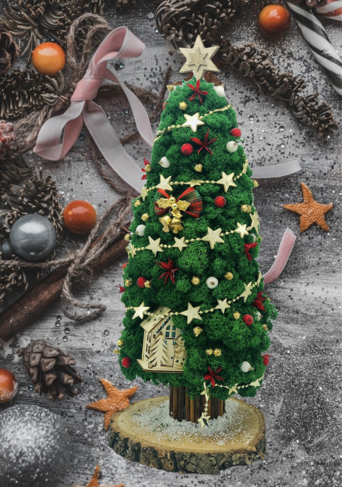 Aranjament de Craciun / Brad din licheni naturali stabilizati si decoratiuni de sezon, Eventissimi, Verde, 48 cm, personalizabil [5]