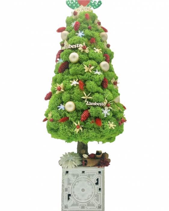 Brad de Crăciun din Licheni Naturali Stabilizați cu Decorațiuni de Sezon - 49 cm, Verde, Personalizabil [4]